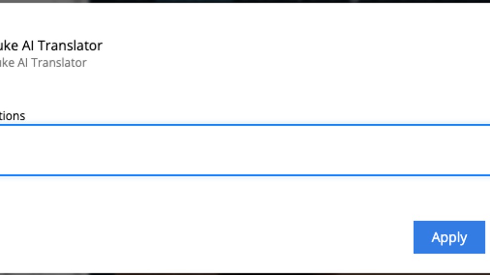 Provide general translator instructions for your project or site