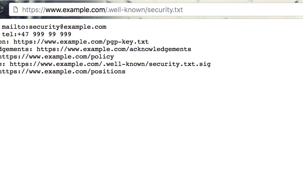 Security.txt screenshot 1
