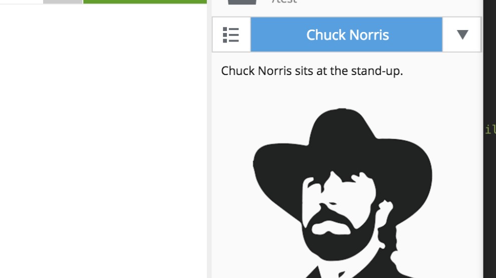 Chuck Norris screenshot 0