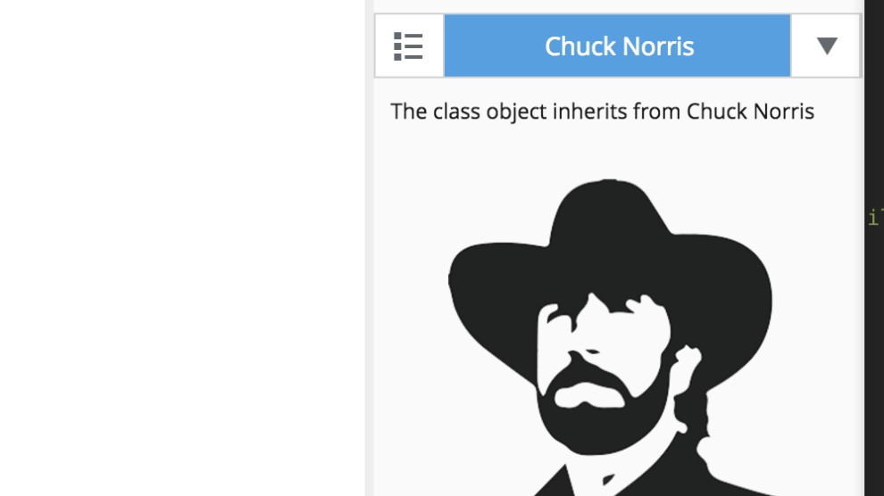 Chuck Norris screenshot 1